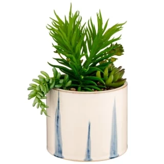 B&M Succulent In Blue Drip Pot 1 B&M Succulent In Blue Drip Pot
