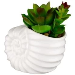B&M Scandi Shore Small Shell Succulent -Hot Sale Household Items 380110 small shell succulent 3