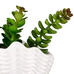 B&M Scandi Shore Small Shell Succulent -Hot Sale Household Items 380110 small shell succulent 8