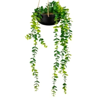 B&M Hanging Trailing Plant In Ceramic Pot 1 B&M Hanging Trailing Plant In Ceramic Pot