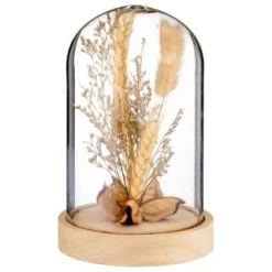 B&M Dried Flowers In Cloche - Natural