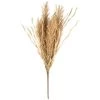 B&M Dried Grass Bunch