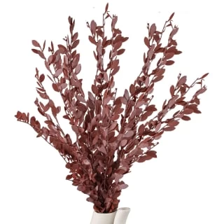 B&M Eucalyptus In Stone Pot 2 B&M Eucalyptus In Stone Pot - Image 2