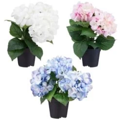 Bloom Hydrangea In Pot - Pink -Hot Sale Household Items 392961 hydrangea in pot group1