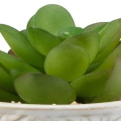 B&M Assorted Embossed Pots 13 B&M Assorted Embossed Pots -Hot Sale Household Items 394664 embossed pot 6