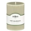 B&M Wild Eucalyptus Scented Candle
